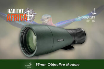 Swarovski ATX Spotting Scope 95mm Objective Module 30-70x