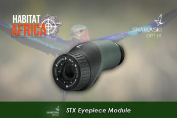 Swarovski STX Eyepiece Module