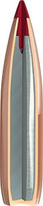 ELD Match Bullet Cutaway