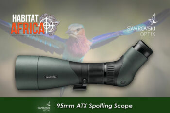 Swarovski Spotting Scopes | 95mm ATX Swarovski| Habitat Africa