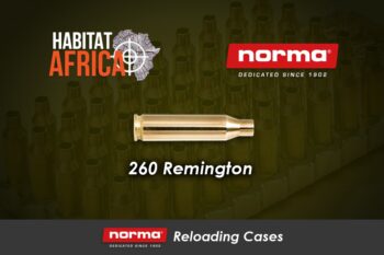 Norma Reloading Brass 260 Remington 100pcs