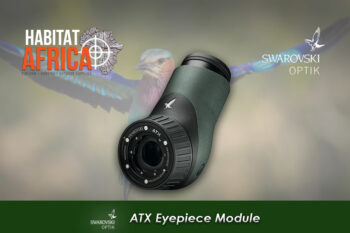 Swarovski ATX Eyepiece Module