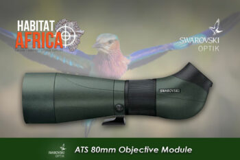 Swarovski ATS 80 HD Spotting Scope Angled Objective Module