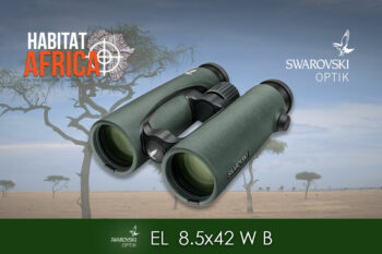 Swarovski EL 8.5×42 Binoculars