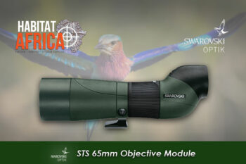 Swarovski STS 65 HD Spotting Scope Straight Objective Module