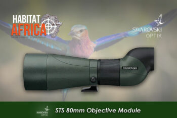 Swarovski STS 80 HD Spotting Scope Straight Objective Module