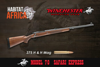 Winchester Model 70 375 H&H Magnum Safari Express