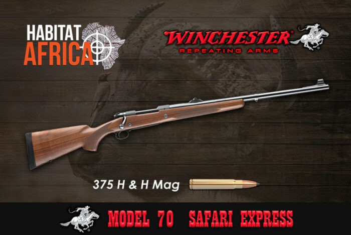 Winchester Safari Express 375 H&H Magnum Habitat Africa