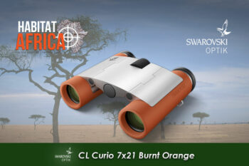 Swarovski-CL-Curio-7x21-Binoculars-Burnt-Orange-Habitat-Africa-2