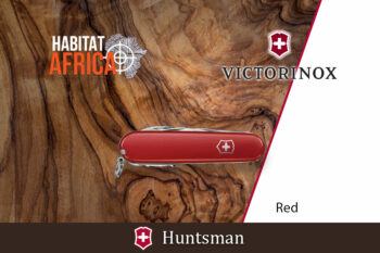 Victorinox-Huntsman-Red-Habitat-Africa