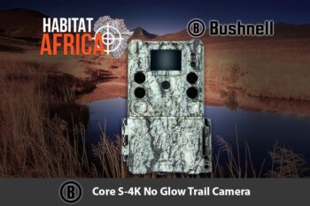 Bushnell Core S-4K No Glow Trail Camera