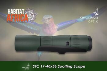 Swarovski-STC-17-40x56-Spotting-Scope-Habitat-Africa-2