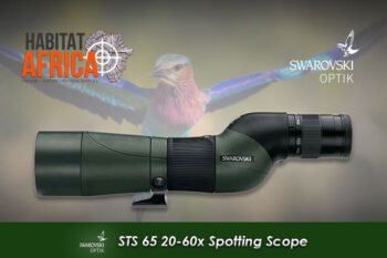 Swarovski-STS-65-20-60x-Spotting-Scope-Habitat-Africa-2
