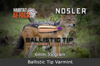 Nosler Ballistic Tip Varmint 6mm .243 55gr Bullets 250pts