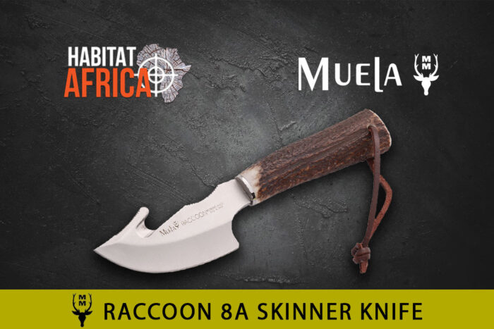 Muela-Raccoon-8.A-Knife-Habitat-Africa-1
