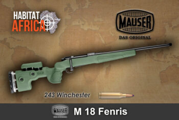 Mauser M18 Fenris LR 243 Winchester