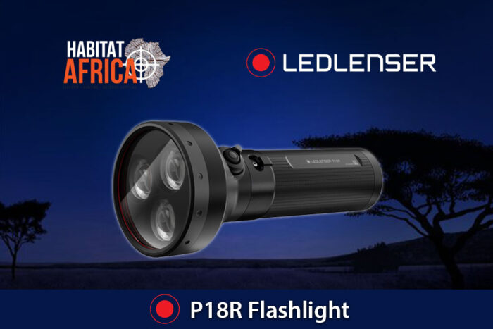 LED-Lenser-P18R-Flashlight-Habitat-Africa
