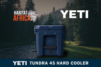 Yeti-Tundra-45-Hard-Cooler-Navy-Habitat-Africa-2