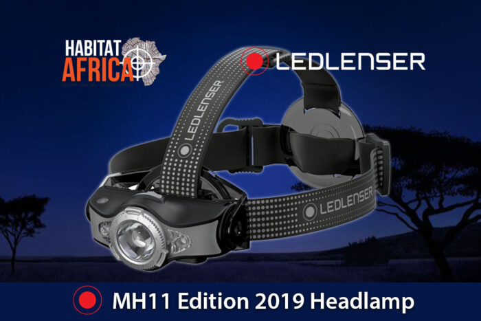 LED-Lenser-MH11-Edition-2019-Headlamp-Habitat-Africa