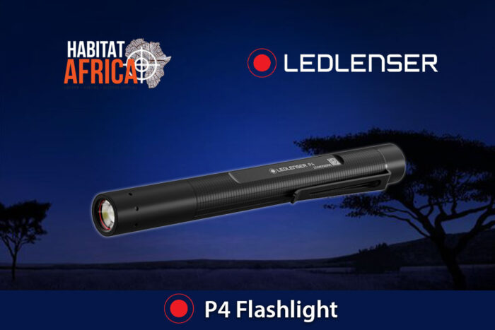 LED-Lenser-P4-Flashlight-Habitat-Africa