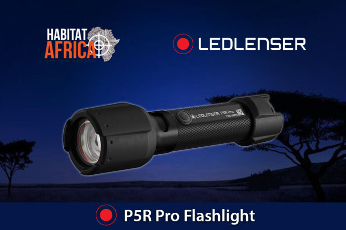 LED-Lenser-P5R-Pro-Flashlight-Habitat-Africa