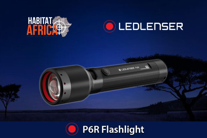 LED-Lenser-P6R-Flashlight-Habitat-Africa