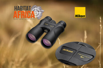 Nikon PROSTAFF 7S 8x30 Binoculars Top- View