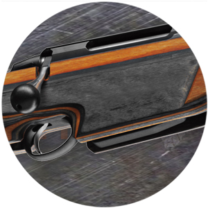 Adjustable Trigger and Magazine