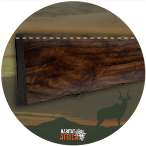 Sauer 101 Ergo Max Stock