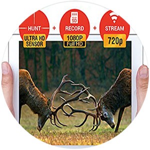 Habitat-Africa-ATN-X-Sight-4K-Pro-Riflescope-Duel-stream-video-1
