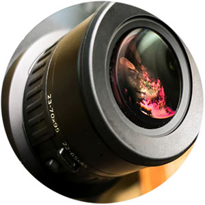 https://www.zeiss.com/consumer-products/int/hunting/spotting-scopes/victory-harpia/victory-harpia-95.html ZEISS Victory Harpia 95 SpottingScope Compact-High-Performance-Eyepiece