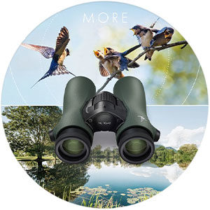 Habitat-Africa-Content-Swarovski-NL-Pure-More