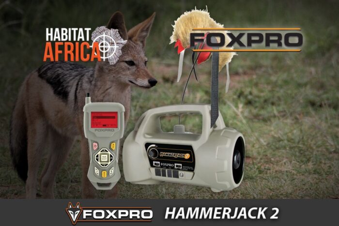 Foxpro-Hammerjack-2-Habitat-Africa