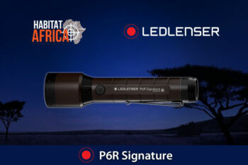 Led-Lenser-Torch-P6R-Signature-Habitat-Africa-2