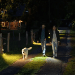 LED Lenser Magnetic Charging Cable Type A