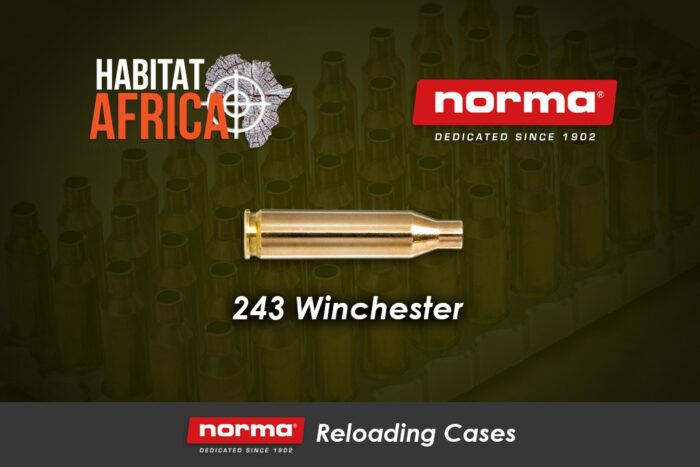 Norma-Reloading-Brass-243-Winchester-Habitat-Africa