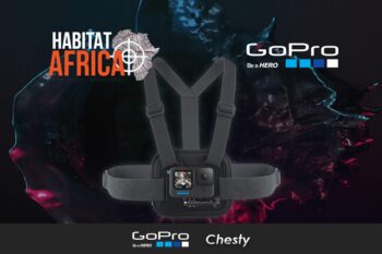 GoPro Chesty