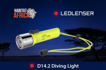 LEDLenser D14.2 Diving Light