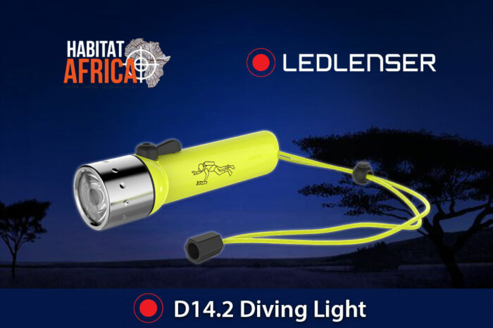 Led-Lenser-Torch-D14.2-Diving-Light-Habitat-Africa-1