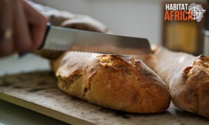 Bread-Knife-Banner