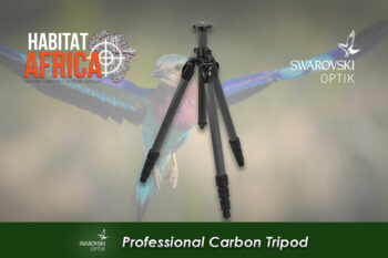 Swarovski Professional Carbon Tripod