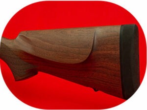 Walnut-Stock-Habitat-Africa