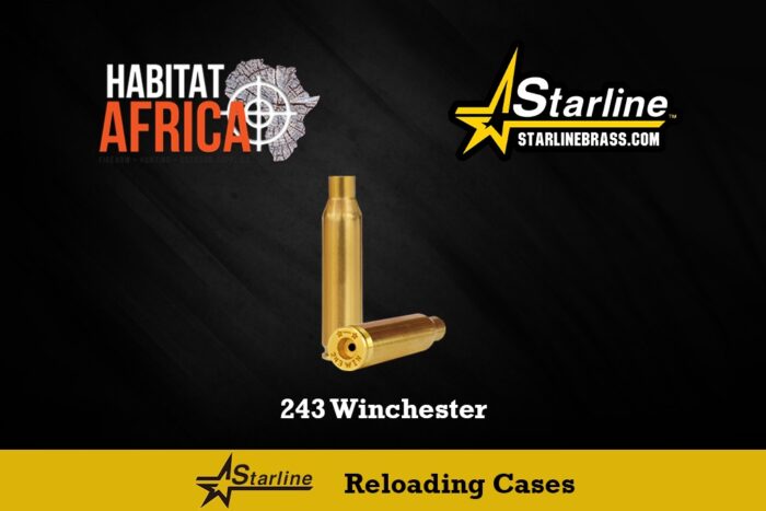 Starline-243-Winchester-Reloading-Cases-Habitat-Africa
