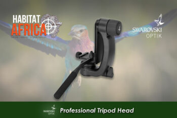 Swarovski Professional Tripod Head