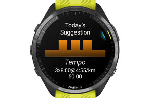 Garmin-Forerunner-965-Habitat-Africa-4