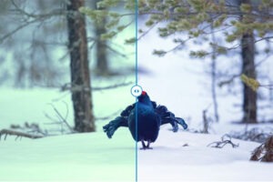 Zeiss-SFL-Optics