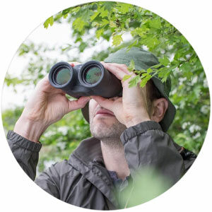 Habitat-Africa-Canon-12x36-IS-III-Binoculars-Features