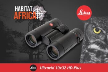 Leica Ultravid 10×32 HD-Plus Binoculars