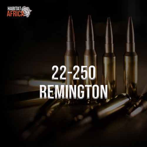 22-250-Remington-Habitat-Africa