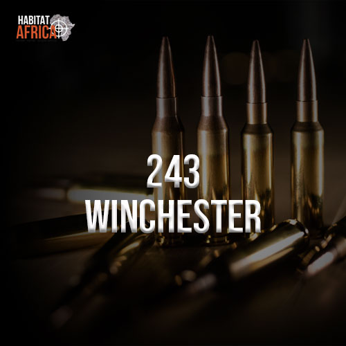 243-Winchester-Habitat-Africa